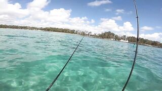 Маврикий, Belle Mare - дропшот с берега: эпизод 11, рабочие веса и проводки