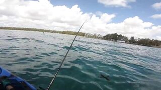 Маврикий, Belle Mare - дропшот с берега: эпизод 11, рабочие веса и проводки