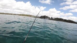 Маврикий, Belle Mare - дропшот с берега: эпизод 11, рабочие веса и проводки