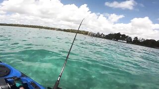 Маврикий, Belle Mare - дропшот с берега: эпизод 11, рабочие веса и проводки