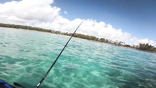 Маврикий, Belle Mare - дропшот с берега: эпизод 11, рабочие веса и проводки