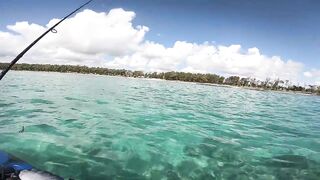 Маврикий, Belle Mare - дропшот с берега: эпизод 11, рабочие веса и проводки