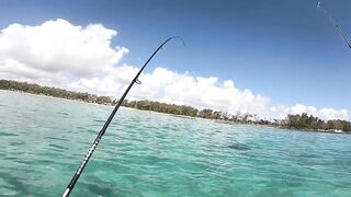 Маврикий, Belle Mare - дропшот с берега: эпизод 11, рабочие веса и проводки