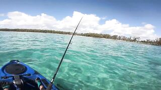 Маврикий, Belle Mare - дропшот с берега: эпизод 11, рабочие веса и проводки