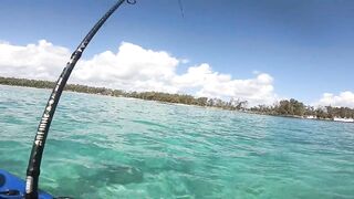 Маврикий, Belle Mare - дропшот с берега: эпизод 11, рабочие веса и проводки