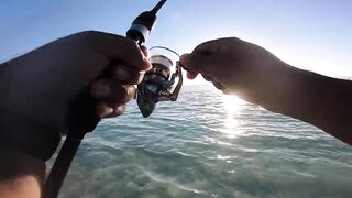 Belle Mare - незадачная рыбалка на Маврикии: что пошло не так