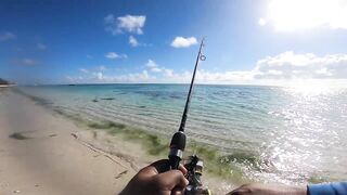 Belle Mare - незадачная рыбалка на Маврикии: что пошло не так