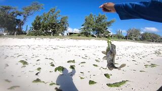 Belle Mare - незадачная рыбалка на Маврикии: что пошло не так