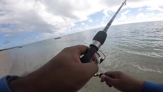 Belle Mare - незадачная рыбалка на Маврикии: что пошло не так