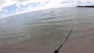 Belle Mare - незадачная рыбалка на Маврикии: что пошло не так