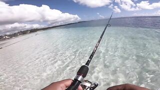 Belle Mare - незадачная рыбалка на Маврикии: что пошло не так