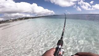 Belle Mare - незадачная рыбалка на Маврикии: что пошло не так