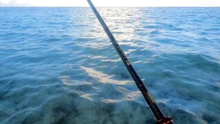 Belle Mare — морская рыбалка с пляжа: Shore Casting, эпизод 10