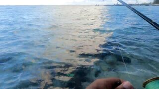 Belle Mare — морская рыбалка с пляжа: Shore Casting, эпизод 10