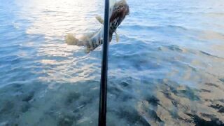 Belle Mare — морская рыбалка с пляжа: Shore Casting, эпизод 10