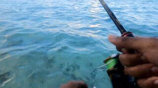 Belle Mare — морская рыбалка с пляжа: Shore Casting, эпизод 10