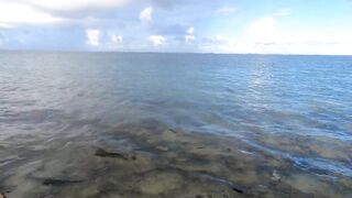 Belle Mare — морская рыбалка с пляжа: Shore Casting, эпизод 10