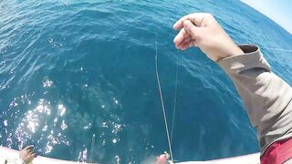 Mahébourg, Маврикий - рыбалка у набережной и лодок местных