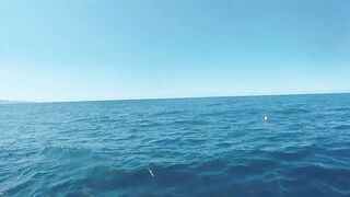 Mahébourg, Маврикий - рыбалка у набережной и лодок местных