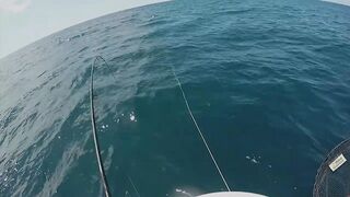 Mahébourg, Маврикий - рыбалка у набережной и лодок местных