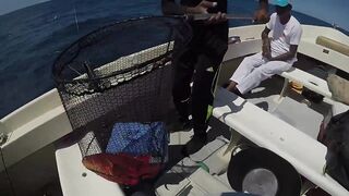 Mahébourg, Маврикий - рыбалка у набережной и лодок местных