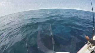 Mahébourg, Маврикий - рыбалка у набережной и лодок местных