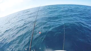 Mahébourg, Маврикий - рыбалка у набережной и лодок местных