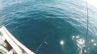 Mahébourg, Маврикий - рыбалка у набережной и лодок местных