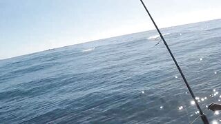 Mahébourg, Маврикий - рыбалка у набережной и лодок местных