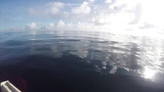 Mahébourg, Маврикий - рыбалка у набережной и лодок местных