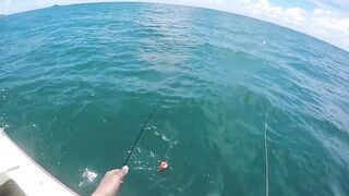 Mahébourg, Маврикий - рыбалка у набережной и лодок местных