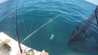 Mahébourg, Маврикий - рыбалка у набережной и лодок местных