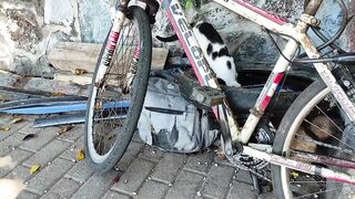 Mahébourg, морские истории: штиль, лагуна и мысли о рыбалке