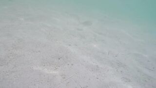 Île aux Cerfs - съёмка рыб, лагуна и травяные пятна, часть 2