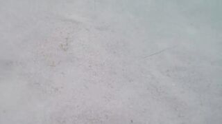 Île aux Cerfs - съёмка рыб, лагуна и травяные пятна, часть 2