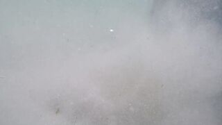 Île aux Cerfs - съёмка рыб, лагуна и травяные пятна, часть 2