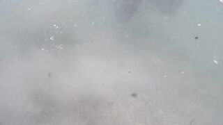 Île aux Cerfs - съёмка рыб, лагуна и травяные пятна, часть 2