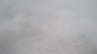 Île aux Cerfs - съёмка рыб, лагуна и травяные пятна, часть 2