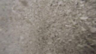 Île aux Cerfs - съёмка рыб, лагуна и травяные пятна, часть 2