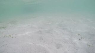 Île aux Cerfs - съёмка рыб, лагуна и травяные пятна, часть 2