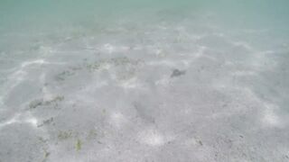 Île aux Cerfs - рыбы в лагуне: хроника 2015, вода и свет