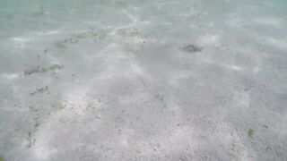 Île aux Cerfs - рыбы в лагуне: хроника 2015, вода и свет