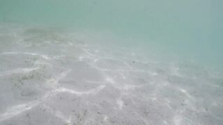 Île aux Cerfs - рыбы в лагуне: хроника 2015, вода и свет