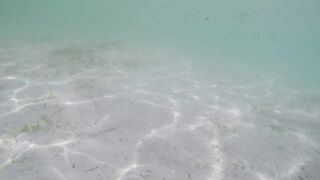 Île aux Cerfs - рыбы в лагуне: хроника 2015, вода и свет