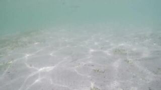 Île aux Cerfs - рыбы в лагуне: хроника 2015, вода и свет