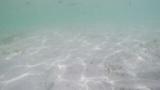 Île aux Cerfs - рыбы в лагуне: хроника 2015, вода и свет