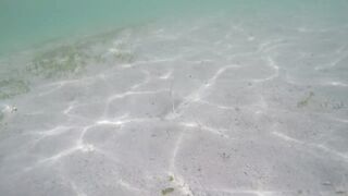 Île aux Cerfs - рыбы в лагуне: хроника 2015, вода и свет