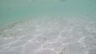 Île aux Cerfs - рыбы в лагуне: хроника 2015, вода и свет