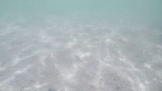 Île aux Cerfs - рыбы в лагуне: хроника 2015, вода и свет