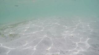 Île aux Cerfs - рыбы в лагуне: хроника 2015, вода и свет